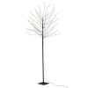 Meilleur prix ???? Paris Prix Plante Artificielle Déco LED Arbre Nu 180cm Noir ⭐