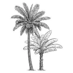 Nouveau 🌟 Sticker Plat Déco Palmier 101x134cm Noir & Blanc 😍