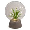 Les meilleures critiques de ❤️ Boule En Verre à Led Plante 19cm Transparent ⌛