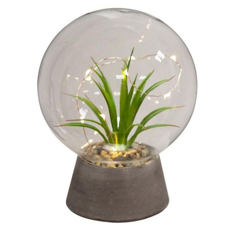 Boule en Verre à Led Plante 19cm Transparent Les meilleures critiques de ❤️ Boule En Verre à Led Plante 19cm Transparent ⌛ -Paris Prix Sales unnamed file 1168