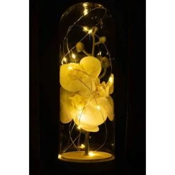 Meilleure affaire 🧨 Paris Prix Cloche Led Déco à Poser Fleurs 27cm Blanc ✨ -Paris Prix Sales unnamed file 1318
