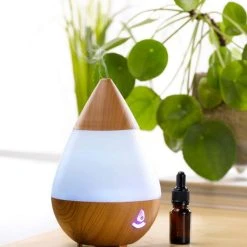 Coupon 🤩 Paris Prix Diffuseur De Parfum Électrique Cône 235ml Naturel 🎁 5 Coupon 🤩 Paris Prix Diffuseur De Parfum Électrique Cône 235ml Naturel 🎁 -Paris Prix Sales unnamed file 1944