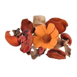 Offres ???? Paris Prix Pot Pourri Essentiel 110g Mangue ????