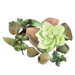 Vente flash 🎉 Paris Prix Pot Pourri Essentiel 200g Pomme 🤩