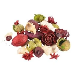 Coupon 👍 Paris Prix Pot Pourri Essentiel 200g Fruits Rouges 🌟