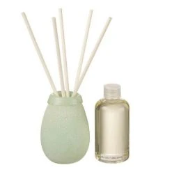 Coupon 🥰 Paris Prix Huile Parfumée Capri 200ml Vert Menthe 💯