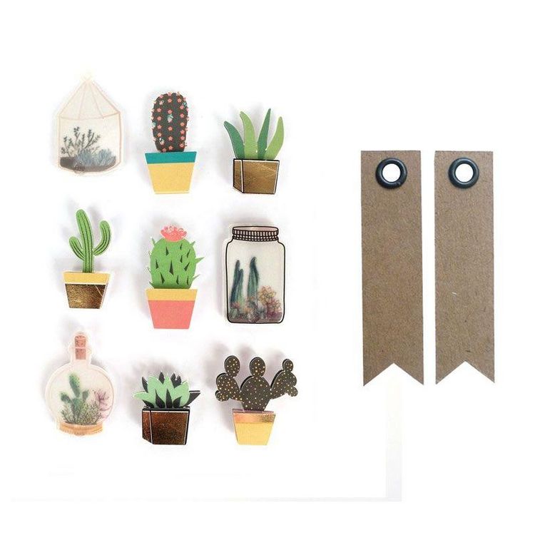 Graine créative 9 stickers 3D cactus et botanique 4 cm + 20 étiquettes kraft Fanion De gros ???? Graine Créative 9 Stickers 3D Cactus Et Botanique 4 Cm + 20 étiquettes Kraft Fanion ???? -Paris Prix Sales unnamed file 25