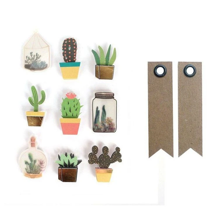 De gros 💯 Graine Créative 9 Stickers 3D Cactus Et Botanique 4 Cm + 20 étiquettes Kraft Fanion 😉 1 De gros 💯 Graine Créative 9 Stickers 3D Cactus Et Botanique 4 Cm + 20 étiquettes Kraft Fanion 😉