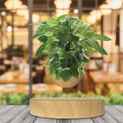 Le moins cher ???? Magnetic Land Mini-Jardin En Lévitation Sur Base Imitation Bois Clair BABYLONIA ✔️