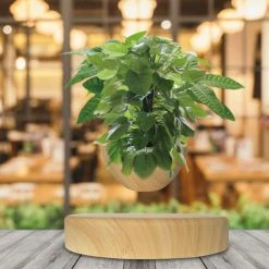 Le moins cher 🌟 Magnetic Land Mini-Jardin En Lévitation Sur Base Imitation Bois Clair BABYLONIA ✔️