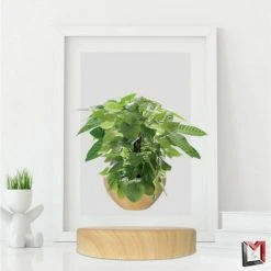 Le moins cher 🌟 Magnetic Land Mini-Jardin En Lévitation Sur Base Imitation Bois Clair BABYLONIA ✔️ -Paris Prix Sales unnamed file 2989