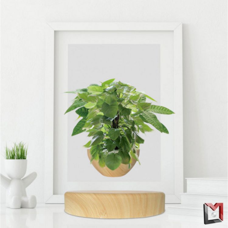 Magnetic land Mini-Jardin en lévitation sur base imitation bois clair BABYLONIA Le moins cher ???? Magnetic Land Mini-Jardin En Lévitation Sur Base Imitation Bois Clair BABYLONIA ✔️ -Paris Prix Sales unnamed file 2989