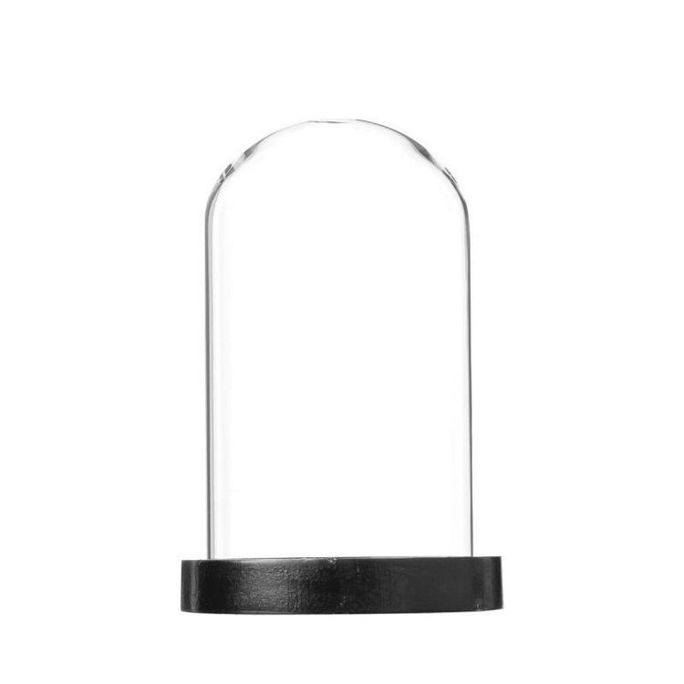 Les meilleures critiques de ???? Cloche Décorative En Verre Shine 29cm Noir ???? 2 Les meilleures critiques de ???? Cloche Décorative En Verre Shine 29cm Noir ???? – Image 2