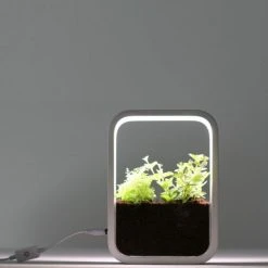 Meilleure affaire 🤩 LIVOO Jardin D'intérieur Décoratif Avec éclairage Intégré 🔔