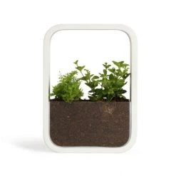 Meilleure affaire 🤩 LIVOO Jardin D'intérieur Décoratif Avec éclairage Intégré 🔔 -Paris Prix Sales unnamed file 3002