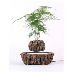 Meilleure affaire ???? Magnetic Land Mini-jardin En Lévitation ROCKGARDEN BABYLONIA ????