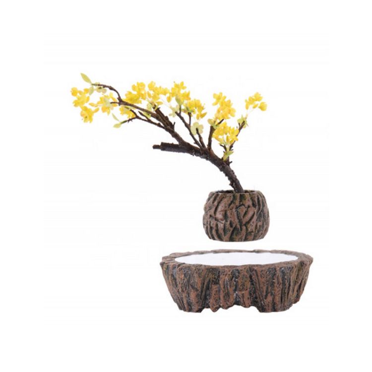 Magnetic land Mini-jardin en lévitation ROCKGARDEN BABYLONIA Meilleure affaire ???? Magnetic Land Mini-jardin En Lévitation ROCKGARDEN BABYLONIA ???? -Paris Prix Sales unnamed file 3040