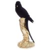 Top 10 ???? ATMOSPHERA Statue Perroquet Sur Branche Noir H26 Cm ????