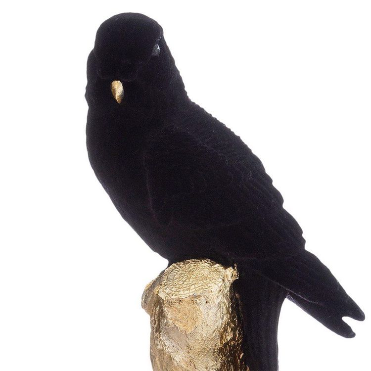 ATMOSPHERA Statue perroquet sur branche noir H26 cm Top 10 ???? ATMOSPHERA Statue Perroquet Sur Branche Noir H26 Cm ???? -Paris Prix Sales unnamed file 3048