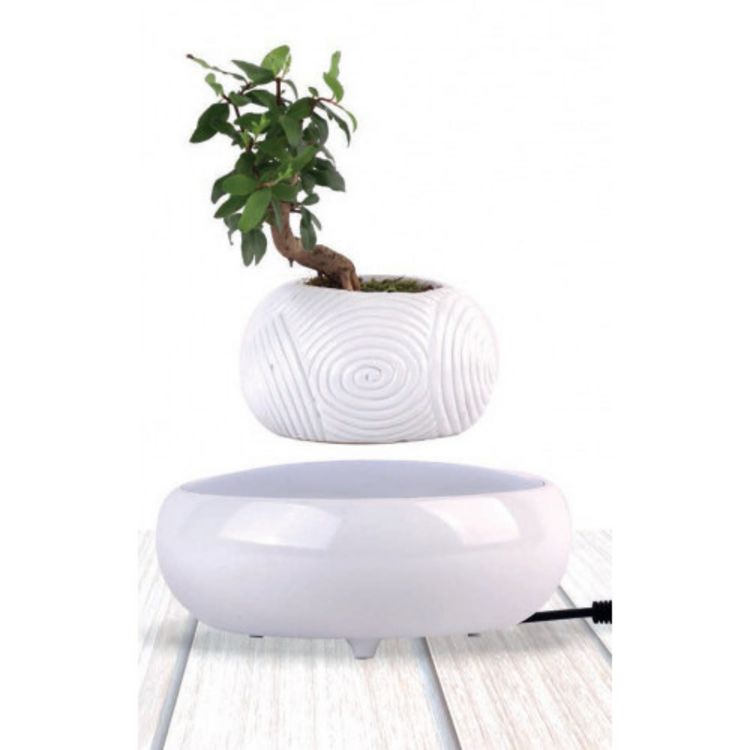 Magnetic land Mini-jardin en lévitation WHITE DREAM BABYLONIA Top 10 ❤️ Magnetic Land Mini-jardin En Lévitation WHITE DREAM BABYLONIA ❤️ -Paris Prix Sales unnamed file 3097