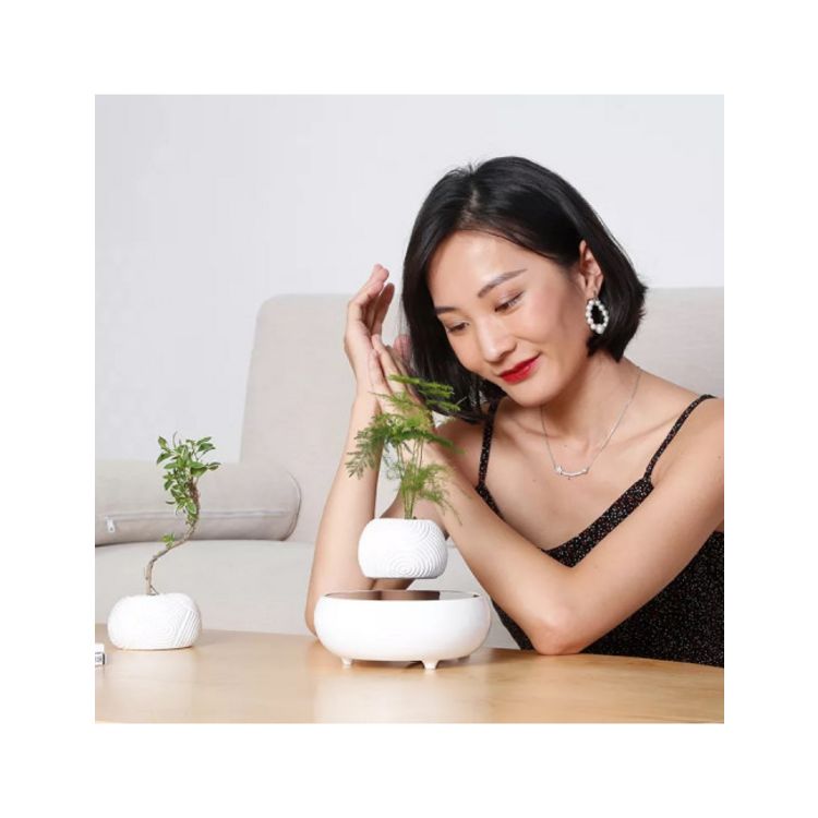 Magnetic land Mini-jardin en lévitation WHITE DREAM BABYLONIA Top 10 ❤️ Magnetic Land Mini-jardin En Lévitation WHITE DREAM BABYLONIA ❤️ -Paris Prix Sales unnamed file 3098