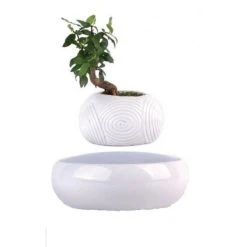 Top 10 ❤️ Magnetic Land Mini-jardin En Lévitation WHITE DREAM BABYLONIA ❤️ -Paris Prix Sales unnamed file 3099