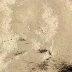 De gros ⌛ Paris Prix Rouleau Adhésif Uni Brillance 45x200cm Or 🔥