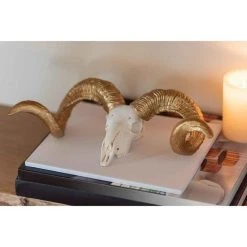 Sortie 😀 Paris Prix Statuette Déco Crâne Mouton 43cm Blanc & Or ✨ -Paris Prix Sales unnamed file 3307