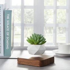 Vente flash 😉 Magnetic Land Jardin En Lévitation HEXAFLY Bois Foncé BABYLONIA 🔔