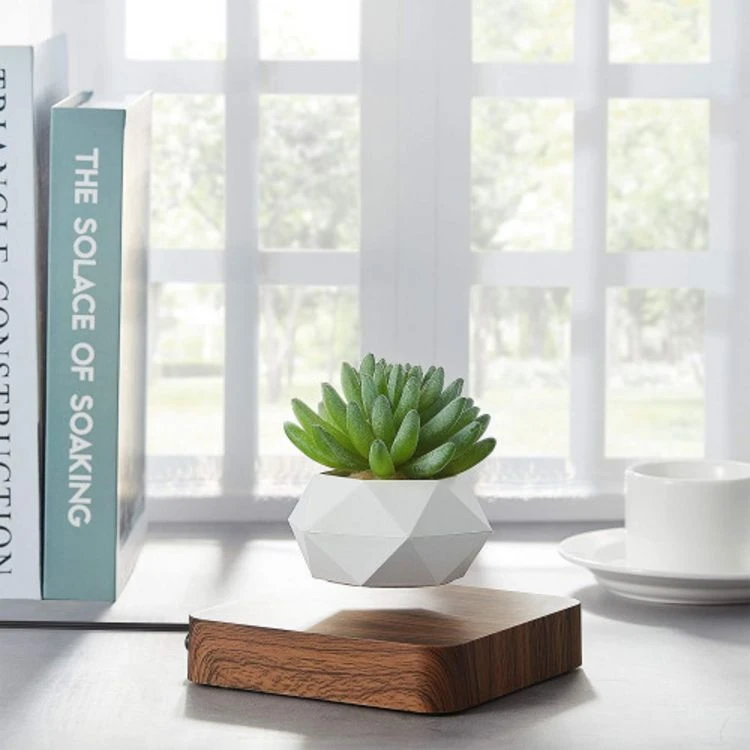 Vente flash 😉 Magnetic Land Jardin En Lévitation HEXAFLY Bois Foncé BABYLONIA 🔔 1 Vente flash 😉 Magnetic Land Jardin En Lévitation HEXAFLY Bois Foncé BABYLONIA 🔔