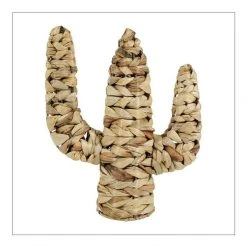 Acheter 🎁 No Name Cactus Rotin Naturel 🛒 -Paris Prix Sales unnamed file 3358