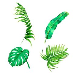Sortie ???? SUD TRADING Sticker Nature Jungle - 70 X 50 Cm - Blanc Et Vert ????