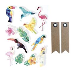 De gros ???? Graine Créative 12 Stickers 3D Oiseaux Tropicaux 6 Cm + 20 étiquettes Kraft Fanion ????