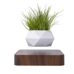 Vente flash ???? Magnetic Land Jardin En Lévitation HEXAFLY Bois Foncé BABYLONIA ???? -Paris Prix Sales unnamed file 9